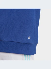 Худи и свитшоты Adidas Tiro модель HS7488-KZ Фото