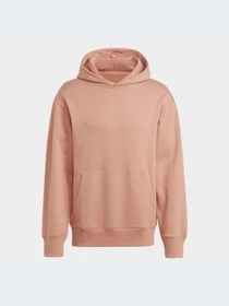 Худи и свитшоты Adidas модель HA9296-KZ Фото
