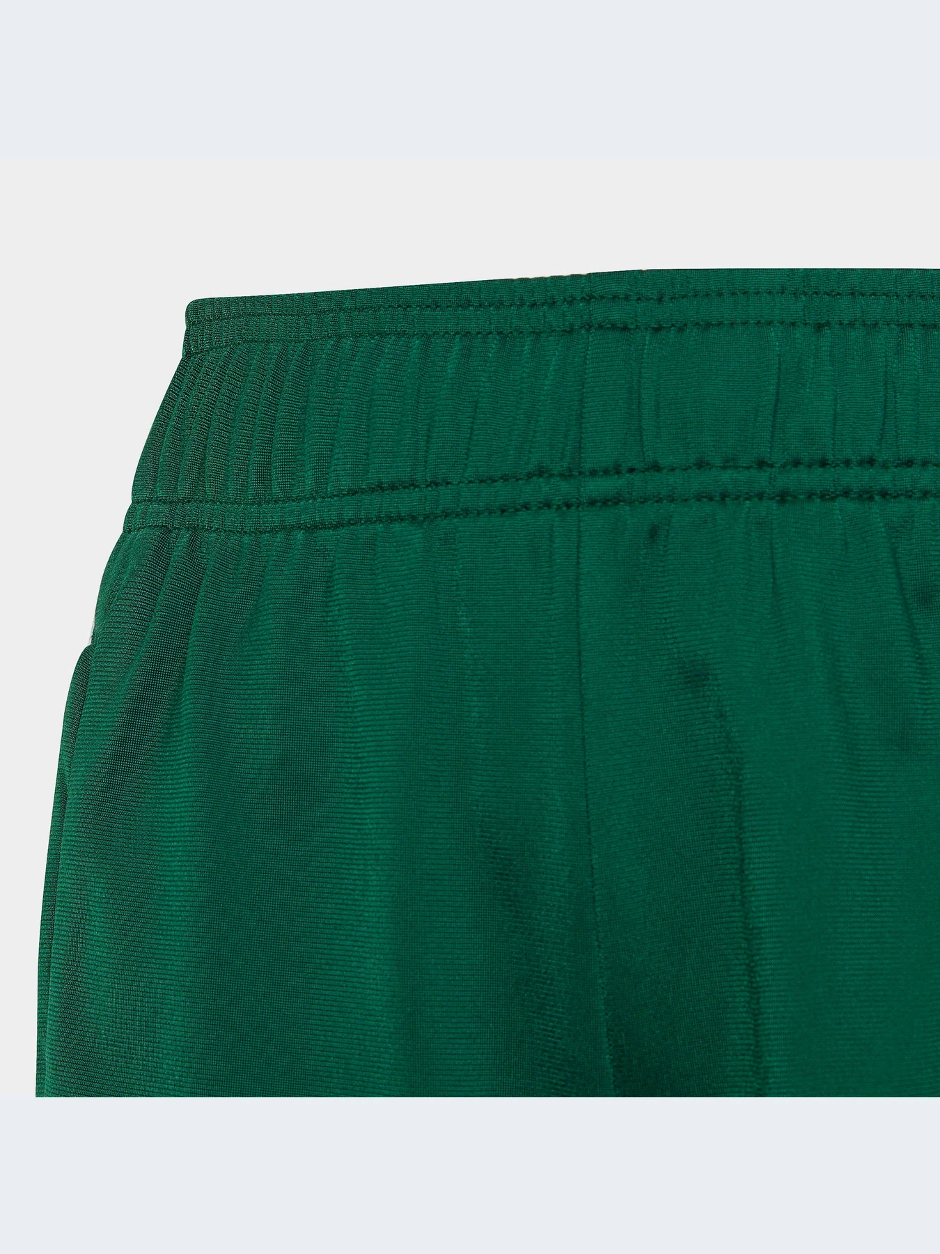 Брюки Adidas Adicolor модель IC3089-KZ Брюки Adidas Adicolor модель IC3089-KZ Фото