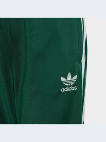 Брюки Adidas Adicolor модель IC3089-KZ Фото