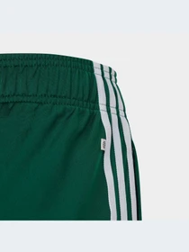 Брюки Adidas Adicolor модель IC3089-KZ Фото