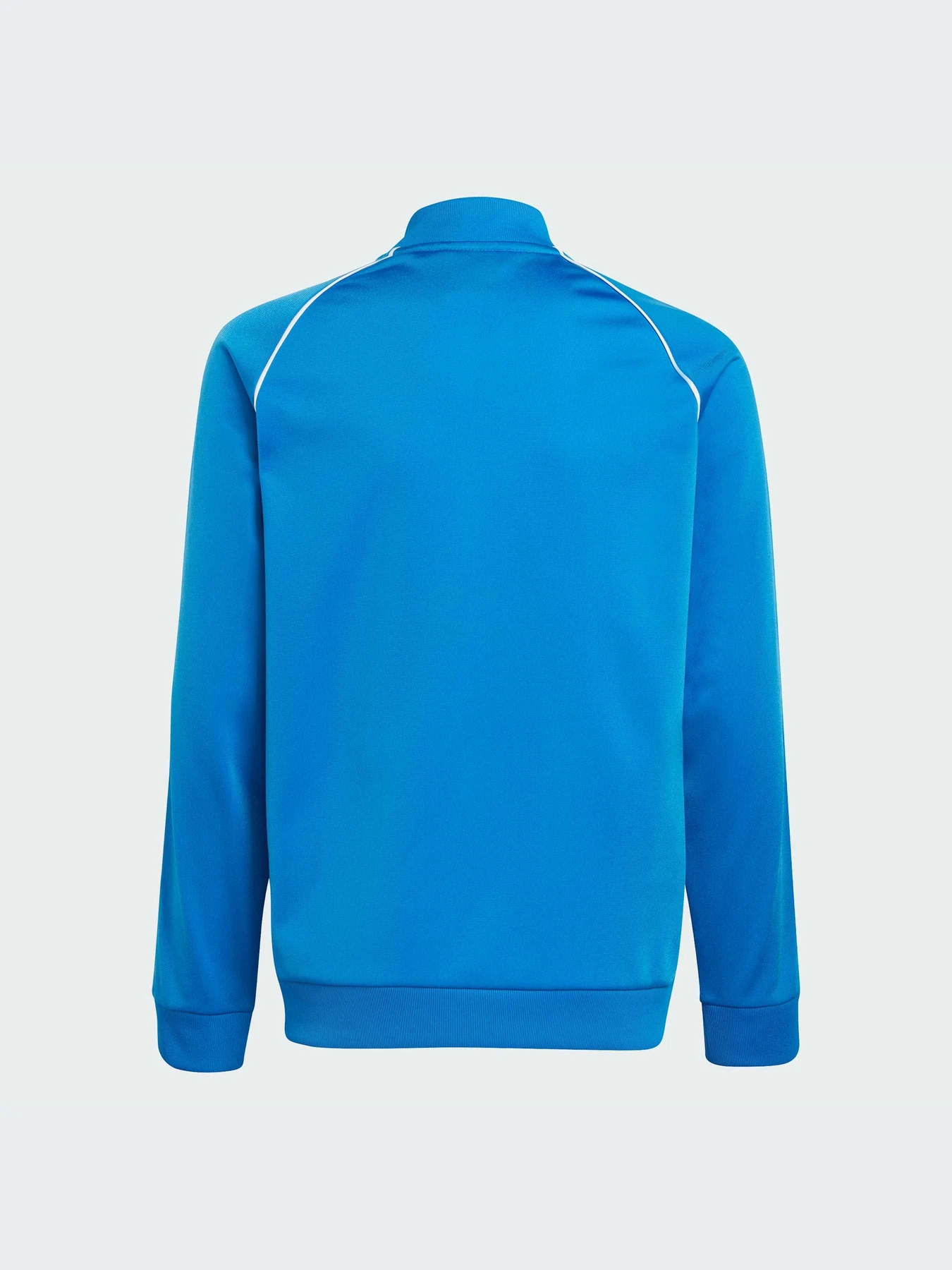 Худи и свитшоты Adidas Adicolor модель IN4743-KZ Худи и свитшоты Adidas Adicolor модель IN4743-KZ Фото
