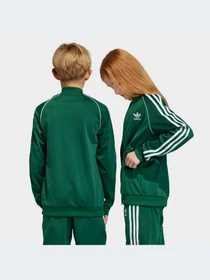 Худи и свитшоты Adidas Adicolor модель IC3061-KZ Фото