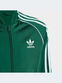 Худи и свитшоты Adidas Adicolor модель IC3061-KZ Фото