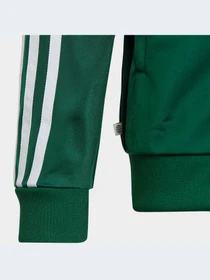Худи и свитшоты Adidas Adicolor модель IC3061-KZ Фото