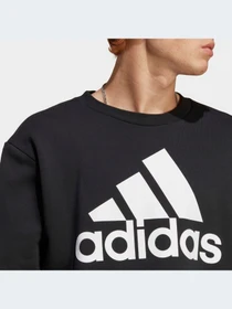 Худи и свитшоты Adidas модель IC9324-KZ Фото