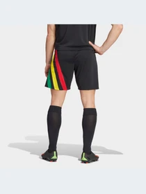 Шорты Adidas модель IK5736-KZ Фото