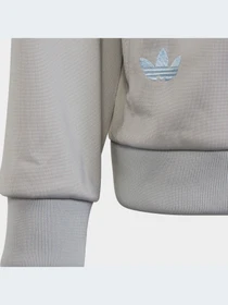 Спортивная одежда Adidas Adicolor модель IC6193-KZ Фото