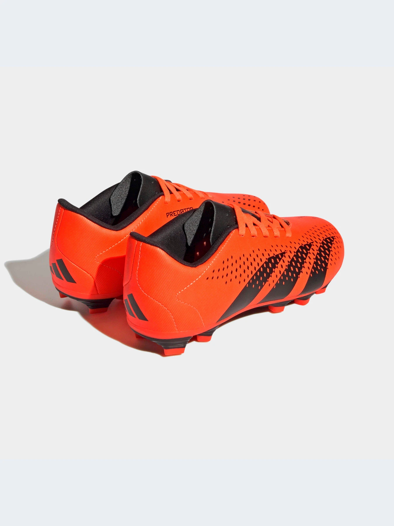 Кроссовки Adidas Predator модель HQ0951-KZ Кроссовки Adidas Predator модель HQ0951-KZ Фото