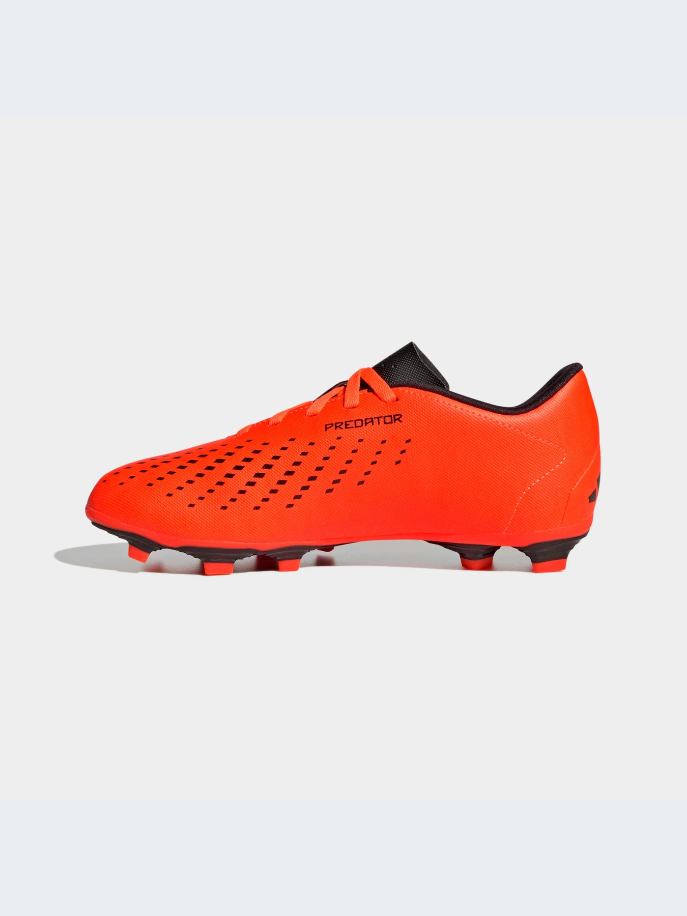 Кроссовки Adidas Predator модель HQ0951-KZ Кроссовки Adidas Predator модель HQ0951-KZ Фото