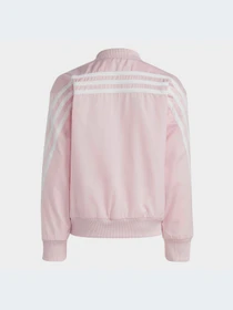 Худи и свитшоты Adidas модель HS1141-KZ Фото