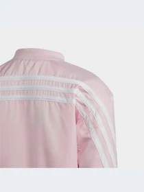 Худи и свитшоты Adidas модель HS1141-KZ Фото