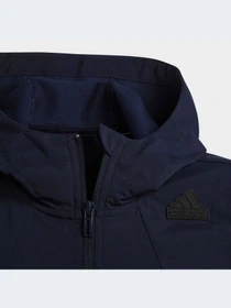 Худи и свитшоты Adidas модель HR6378-KZ Фото