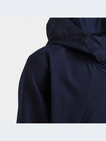 Худи и свитшоты Adidas модель HR6378-KZ Фото