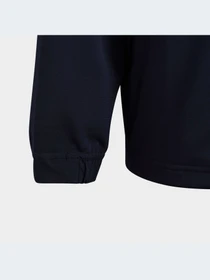 Худи и свитшоты Adidas модель HR6378-KZ Фото