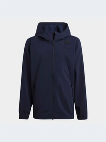 Худи и свитшоты Adidas модель HR6378-KZ Фото