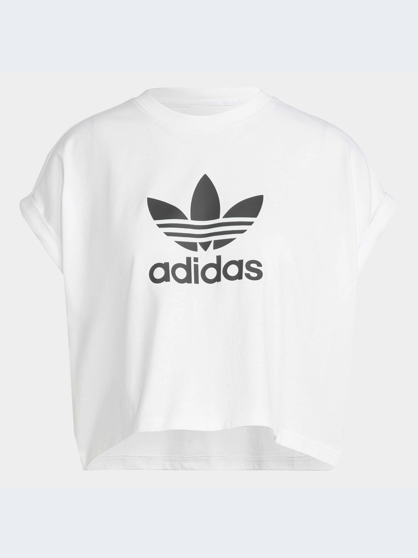 Футболки и поло Adidas Adicolor модель IC5467-KZ Футболки и поло Adidas Adicolor модель IC5467-KZ Фото