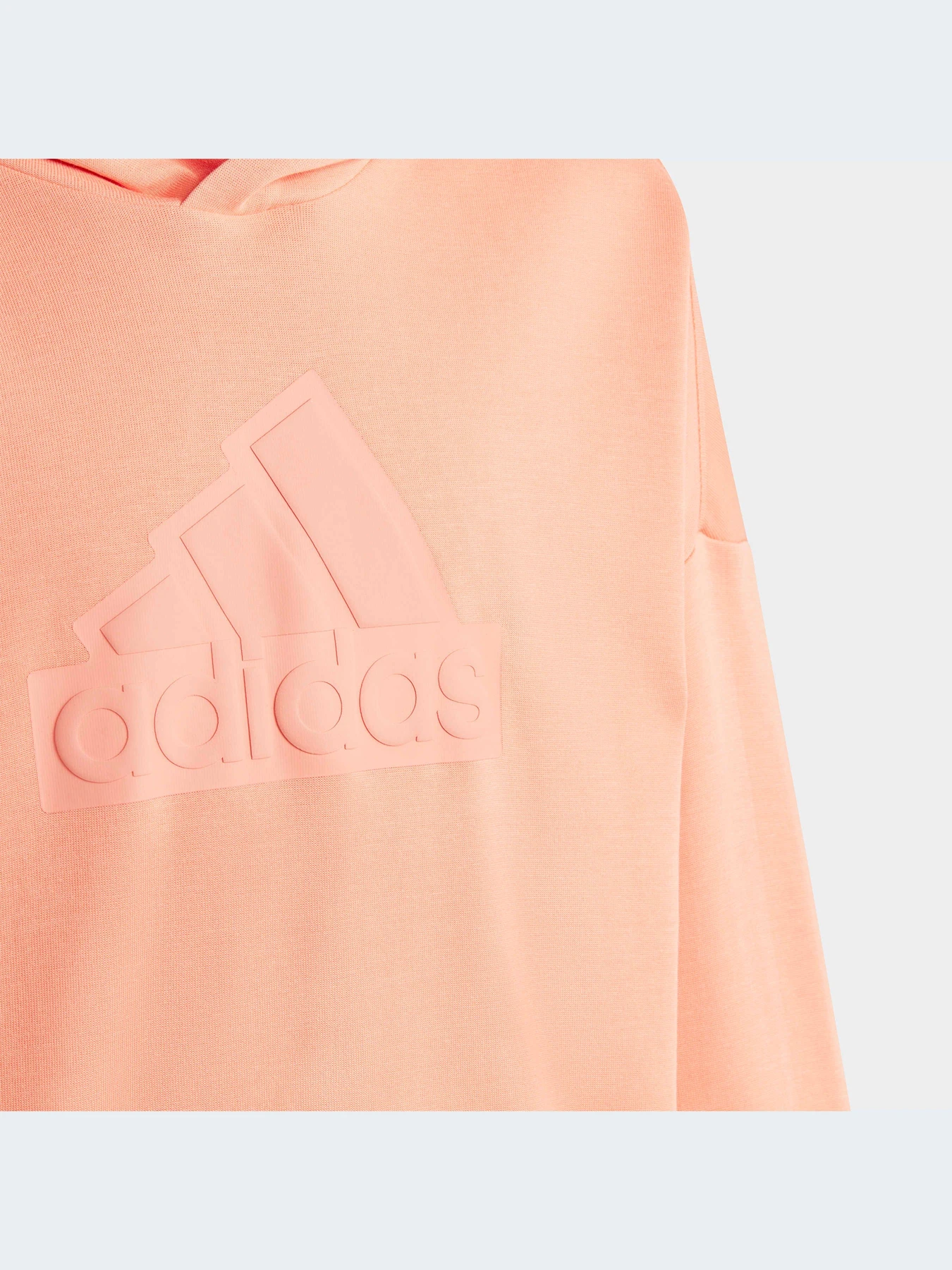 Худи и свитшоты Adidas модель HR6302-KZ Худи и свитшоты Adidas модель HR6302-KZ Фото