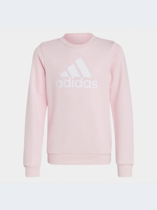 Худи и свитшоты Adidas модель IC6119-KZ Фото