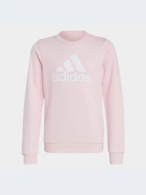 Худи и свитшоты Adidas модель IC6119-KZ Фото