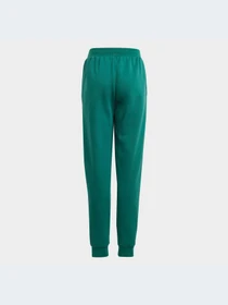 Брюки Adidas модель IA1553-KZ Фото