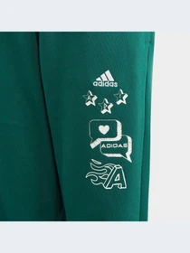 Брюки Adidas модель IA1553-KZ Фото