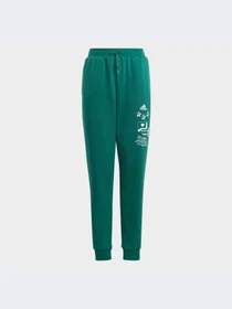 Брюки Adidas модель IA1553-KZ Фото