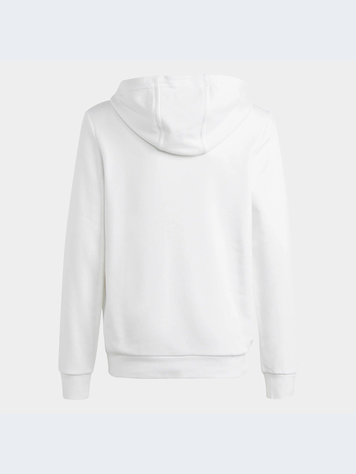 Худи и свитшоты Adidas модель IC6836-KZ Худи и свитшоты Adidas модель IC6836-KZ Фото