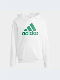 Худи и свитшоты Adidas модель IC6836-KZ Фото