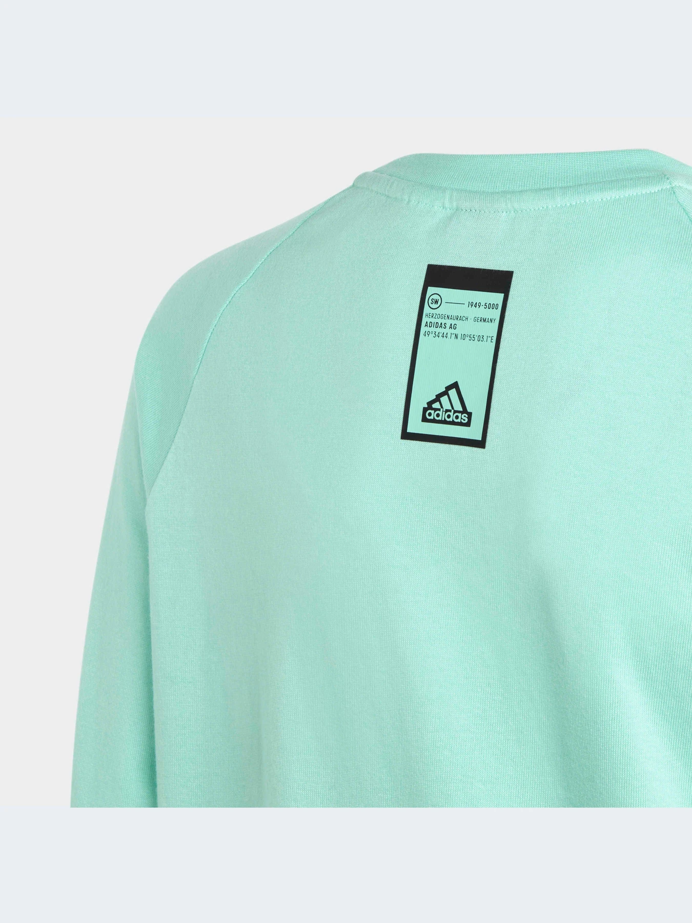 Худи и свитшоты Adidas модель HR6375-KZ Худи и свитшоты Adidas модель HR6375-KZ Фото
