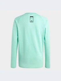 Худи и свитшоты Adidas модель HR6375-KZ Фото