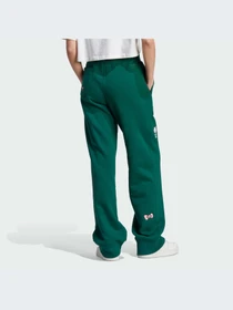 Брюки Adidas Graphics модель IK6568-KZ Фото