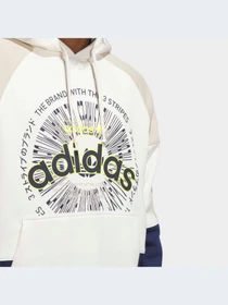 Худи и свитшоты Adidas Graphics модель IL4700-KZ Фото