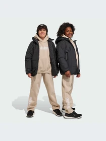 Брюки Adidas модель IB3234-KZ Фото