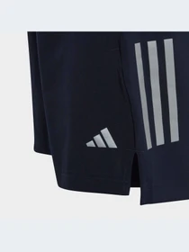 Шорты Adidas модель IC1723-KZ Фото