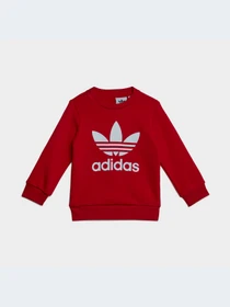 Одежда для младенцев Adidas Adicolor модель IB8665-KZ Фото