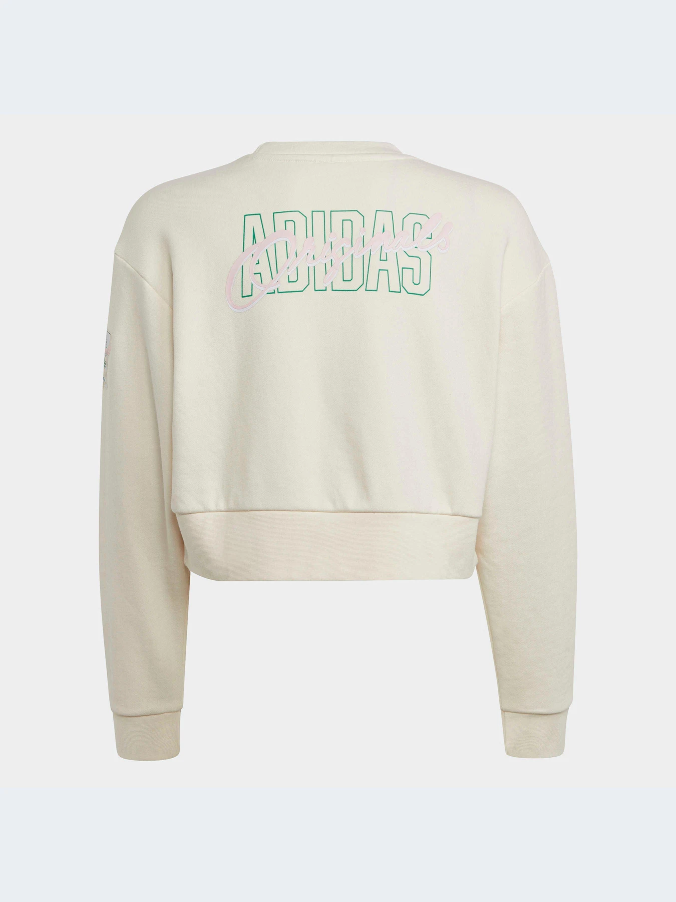 Худи и свитшоты Adidas Graphics модель IB8455-KZ Худи и свитшоты Adidas Graphics модель IB8455-KZ Фото