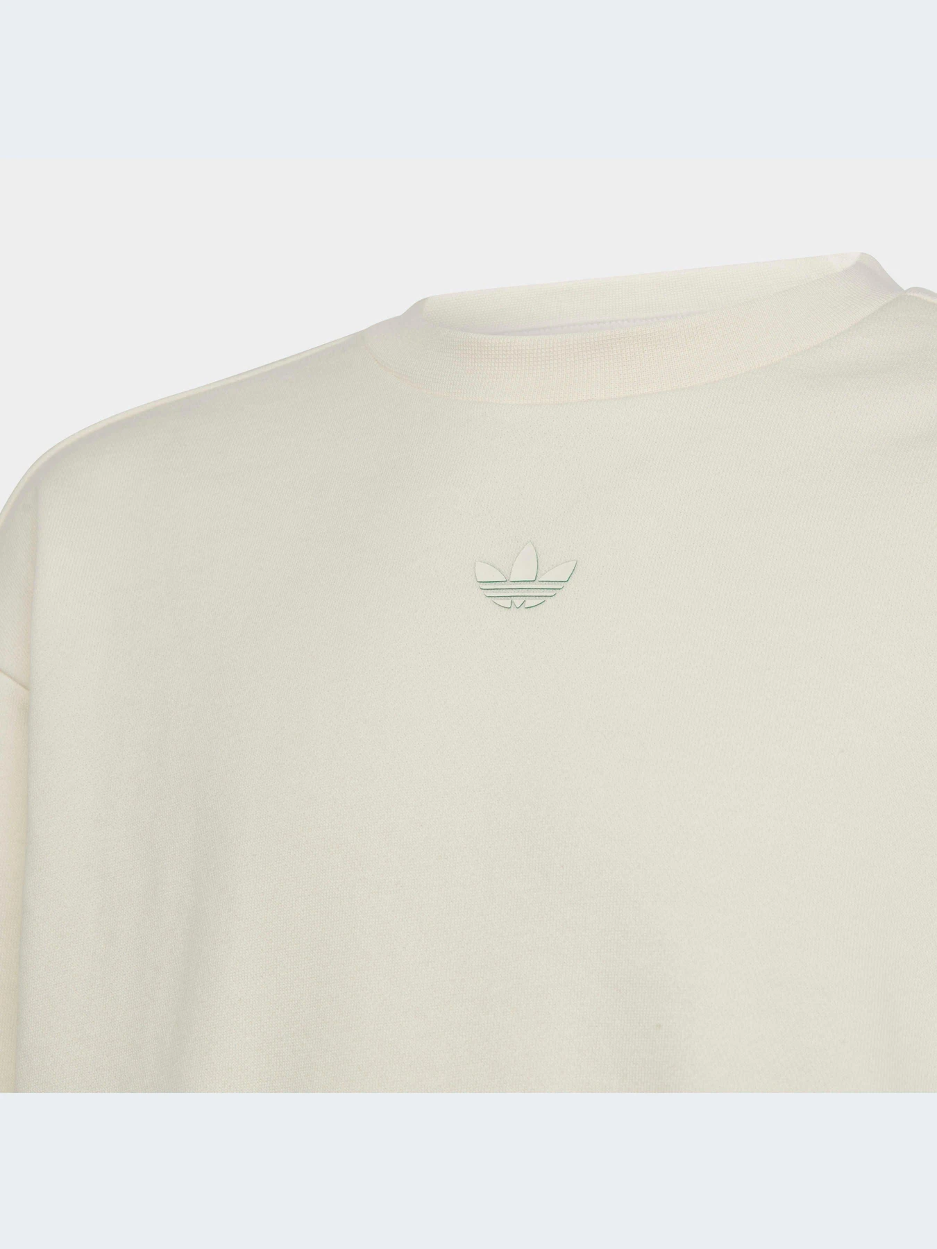 Худи и свитшоты Adidas Graphics модель IB8455-KZ Худи и свитшоты Adidas Graphics модель IB8455-KZ Фото
