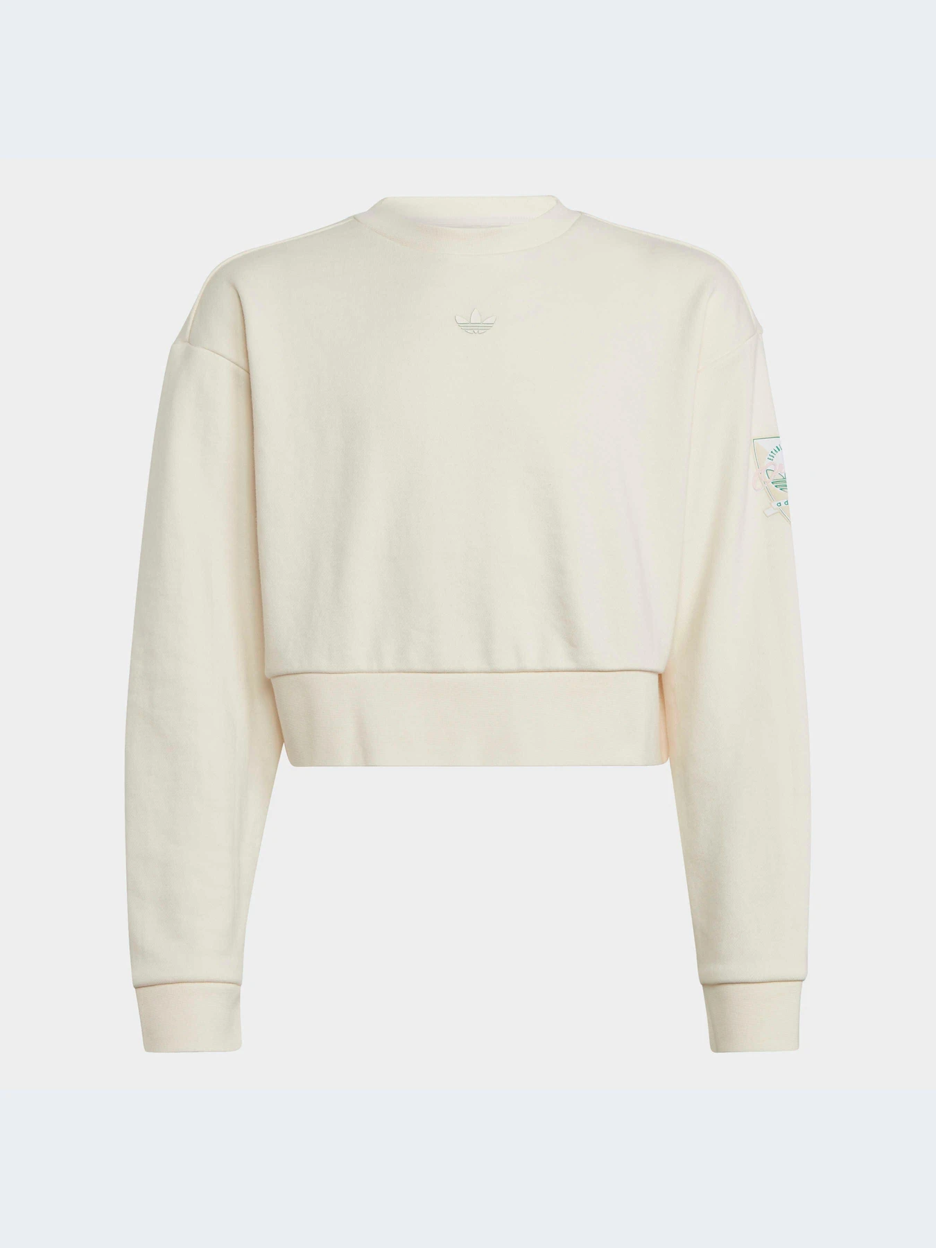 Худи и свитшоты Adidas Graphics модель IB8455-KZ Худи и свитшоты Adidas Graphics модель IB8455-KZ Фото