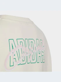 Худи и свитшоты Adidas Graphics модель IB8455-KZ Фото