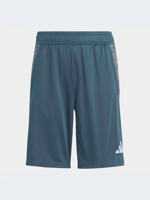 Шорты Adidas модель IJ8976-KZ Фото