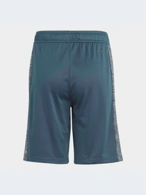 Шорты Adidas модель IJ8976-KZ Фото