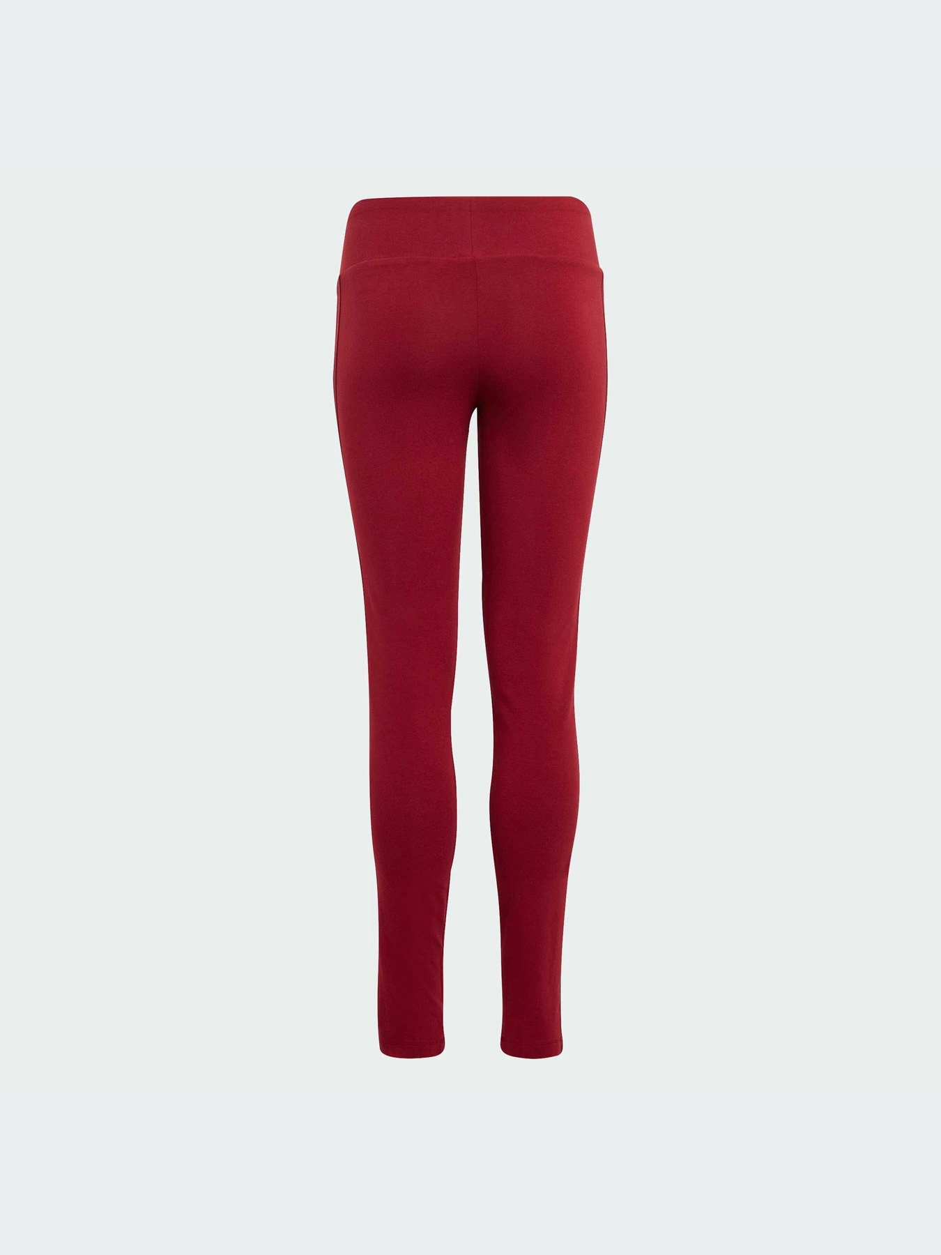 Брюки Adidas Graphics модель IJ0756-KZ Брюки Adidas Graphics модель IJ0756-KZ Фото