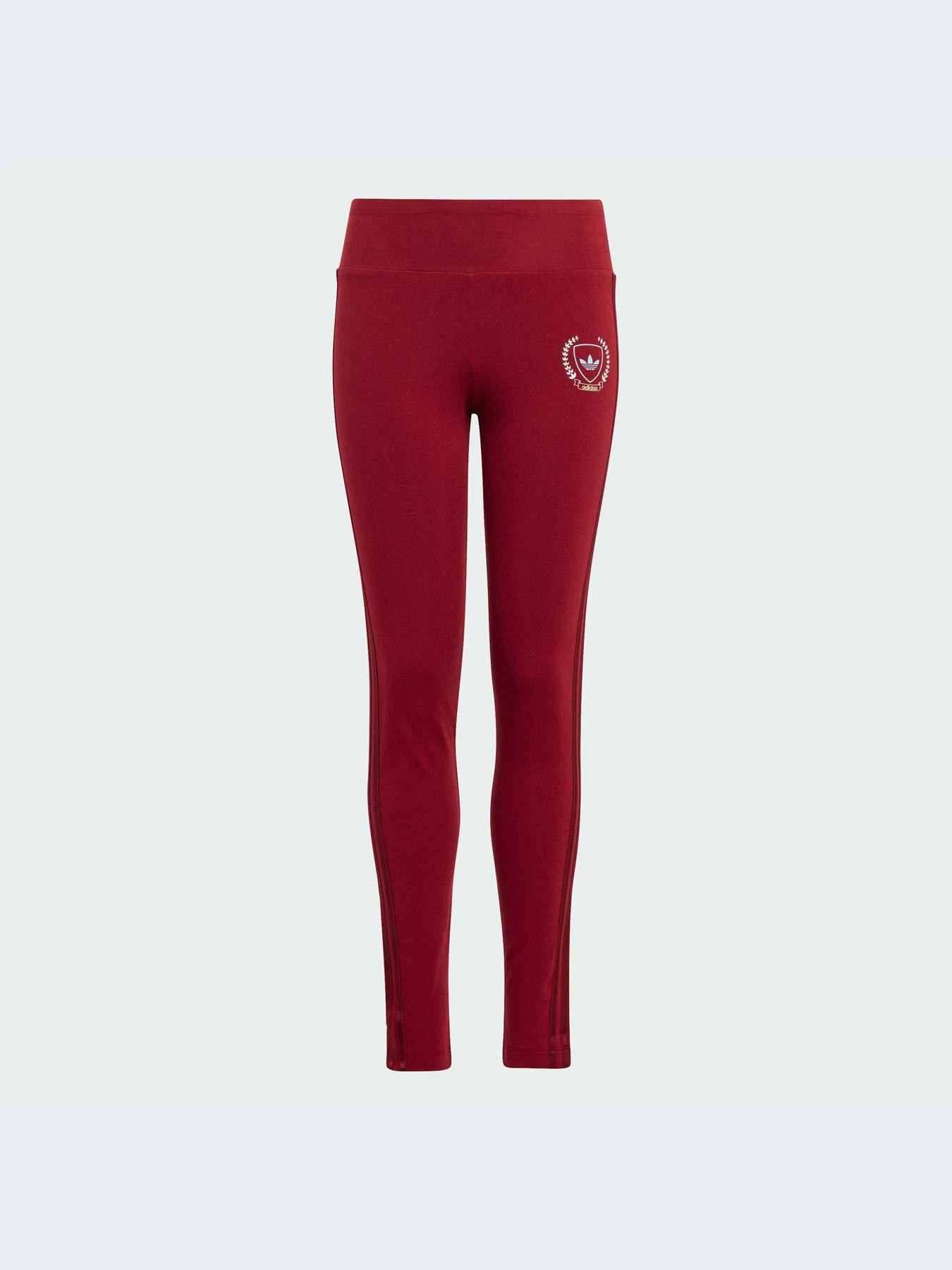 Брюки Adidas Graphics модель IJ0756-KZ Брюки Adidas Graphics модель IJ0756-KZ Фото