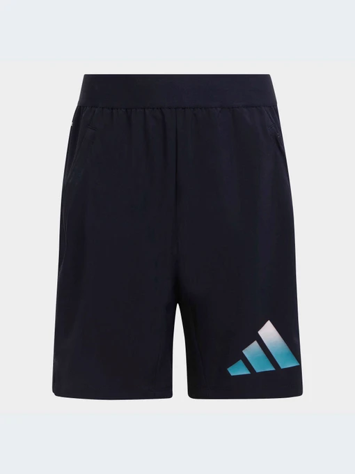 Шорты Adidas модель IC5412-KZ Фото