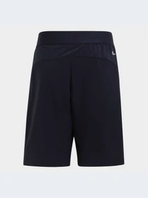 Шорты Adidas модель IC5412-KZ Фото