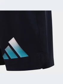 Шорты Adidas модель IC5412-KZ Фото