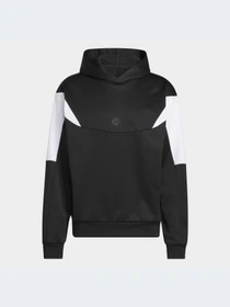 Худи и свитшоты Adidas модель IC0218-KZ Фото