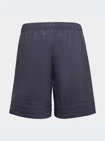 Шорты Adidas модель HE2085-KZ Фото
