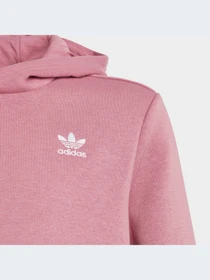 Худи и свитшоты Adidas модель IC3145-KZ Фото